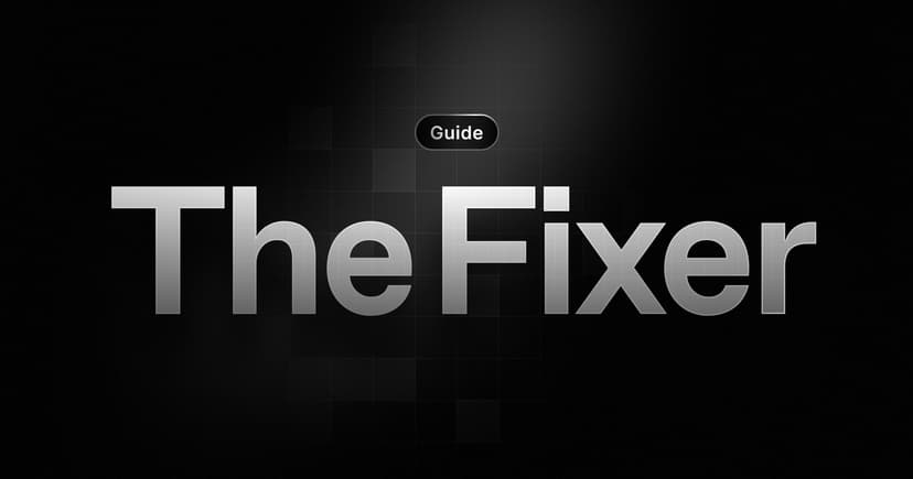 The Fixer